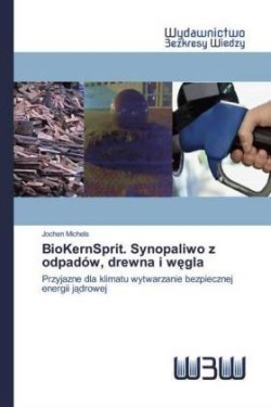 BioKernSprit. Synopaliwo z odpadów, drewna i węgla