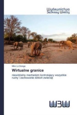 Wirtualne granice