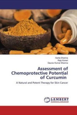 Assessment of Chemoprotective Potential of Curcumin