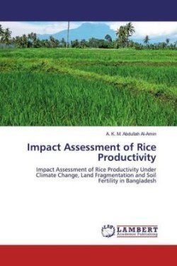 Impact Assessment of Rice Productivity