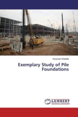 Exemplary Study of Pile Foundations