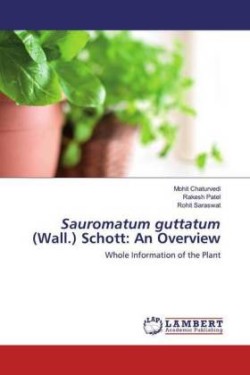 Sauromatum guttatum (Wall.) Schott