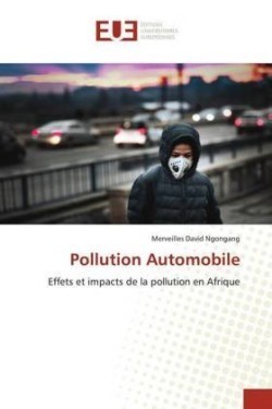 Pollution Automobile