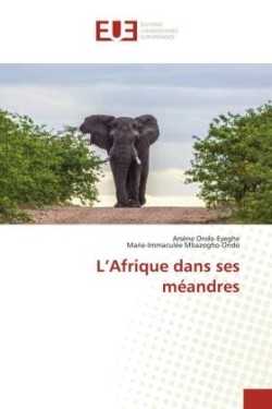 L'Afrique dans ses méandres