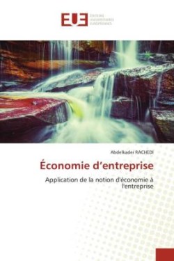 Économie d'entreprise