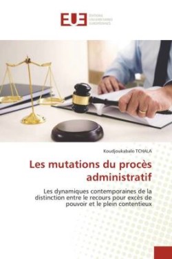 Les mutations du procès administratif