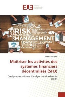 Maitriser les activités des systèmes financiers décentralisés (SFD)