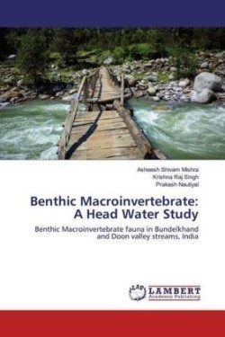 Benthic Macroinvertebrate