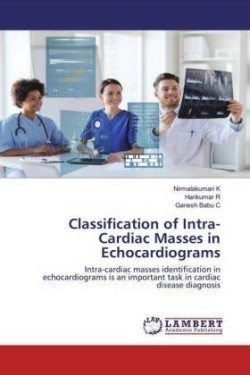 Classification of Intra-Cardiac Masses in Echocardiograms