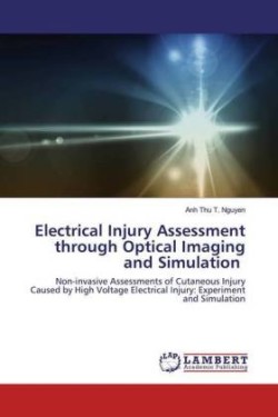 Electrical Injury Assessment through Optical Imaging and Simulation