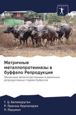 Матричные металлопротеиназы в буффало Ре