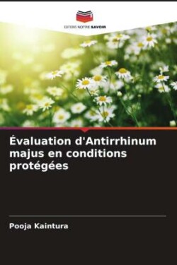 Évaluation d'Antirrhinum majus en conditions protégées