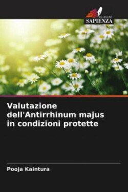 Valutazione dell'Antirrhinum majus in condizioni protette