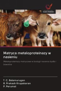 Matryca metaloproteinazy w nasieniu