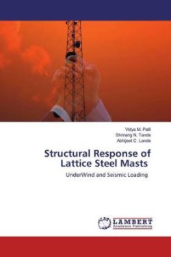 Structural Response of Lattice Steel Masts