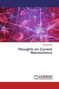Thoughts on Current Neuroscience