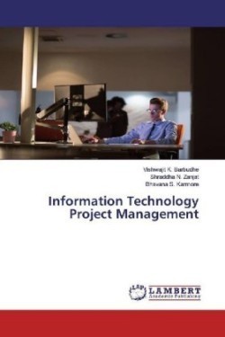 Information Technology Project Management