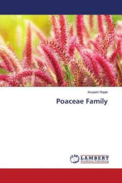 Poaceae Family