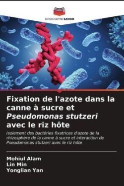 Fixation de l'azote dans la canne à sucre et Pseudomonas stutzeri avec le riz hôte