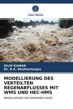 Modellierung Des Verteilten Regenabflusses Mit Wms Und Hec-HMS