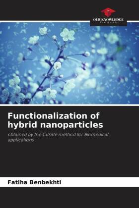 Functionalization of hybrid nanoparticles