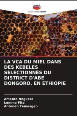 Vca Du Miel Dans Des Kebeles Sélectionnés Du District d'Abe Dongoro, En Éthiopie