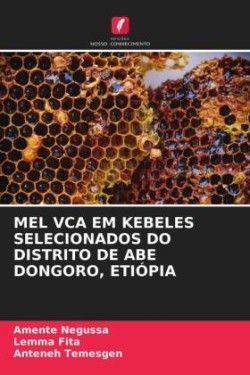 Mel Vca Em Kebeles Selecionados Do Distrito de Abe Dongoro, Etiópia