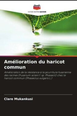 Amélioration du haricot commun