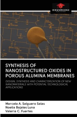 Synthesis of Nanostructured Oxides in Porous Alumina Membranes