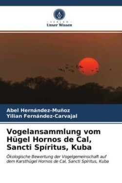 Vogelansammlung vom Hügel Hornos de Cal, Sancti Spíritus, Kuba