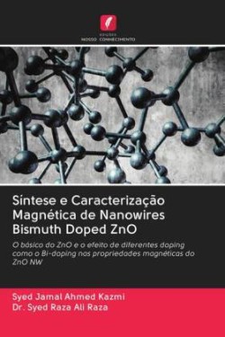 Síntese e Caracterização Magnética de Nanowires Bismuth Doped ZnO