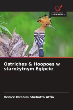 Ostriches & Hoopoes w starozytnym Egipcie