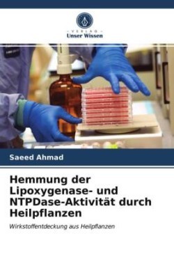 Hemmung der Lipoxygenase- und NTPDase-Aktivität durch Heilpflanzen