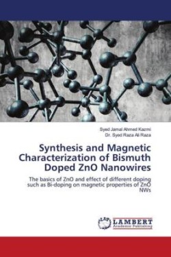 Synthesis and Magnetic Characterization of Bismuth Doped ZnO Nanowires