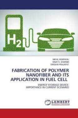 Fabrication of Polymer Nanofiber and Its Application in Fuel Cell