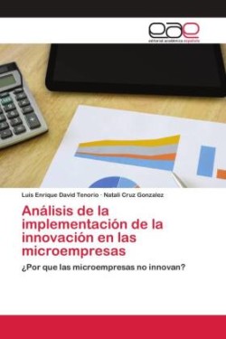 Análisis de la implementación de la innovación en las microempresas