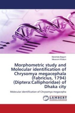 Morphometric study and Molecular identification of Chrysomya megacephala (Fabricius, 1794) (Diptera