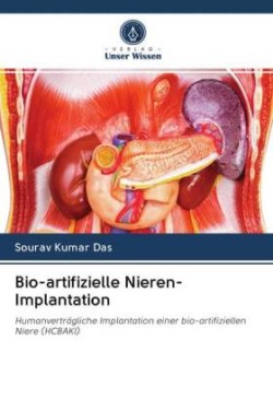 Bio-artifizielle Nieren-Implantation