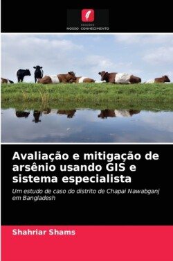 Avaliação e mitigação de arsênio usando GIS e sistema especialista