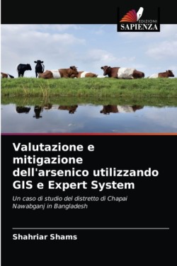 Valutazione e mitigazione dell'arsenico utilizzando GIS e Expert System