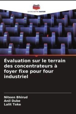 Évaluation sur le terrain des concentrateurs à foyer fixe pour four industriel