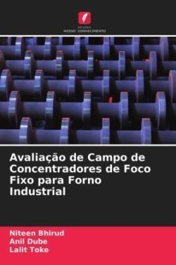 Avaliação de Campo de Concentradores de Foco Fixo para Forno Industrial