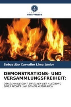 Demonstrations- Und Versammlungsfreiheit