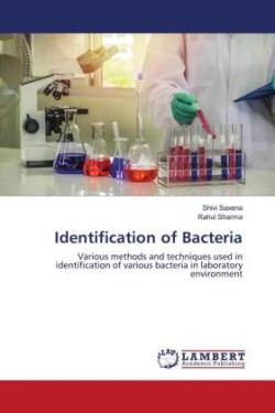 Identification of Bacteria