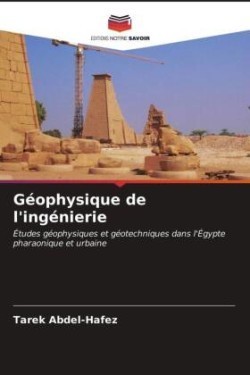 Géophysique de l'ingénierie