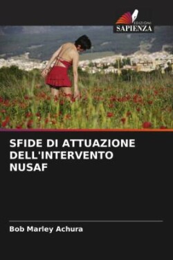 SFIDE DI ATTUAZIONE DELL'INTERVENTO NUSAF