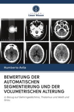 BEWERTUNG DER AUTOMATISCHEN SEGMENTIERUNG UND DER VOLUMETRISCHEN ALTERUNG