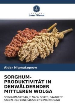 Sorghum-Produktivität in Denwälderndermittleren Wolga