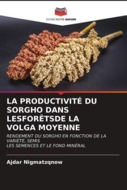 Productivité Du Sorgho Dans Lesforêtsde Lavolga Moyenne