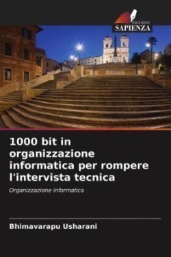 1000 bit in organizzazione informatica per rompere l'intervista tecnica